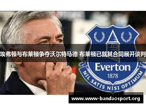 埃弗顿与布莱顿争夺沃尔特马德 布莱顿已就其合同展开谈判