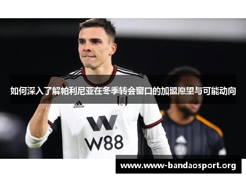 如何深入了解帕利尼亚在冬季转会窗口的加盟愿望与可能动向