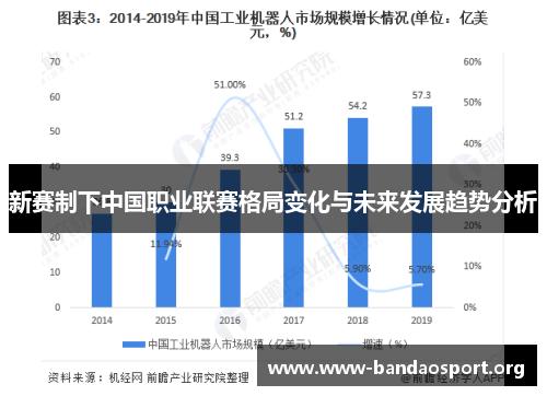 新赛制下中国职业联赛格局变化与未来发展趋势分析
