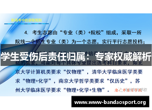 学生受伤后责任归属：专家权威解析