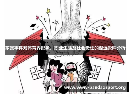 家暴事件对体育界形象、职业生涯及社会责任的深远影响分析