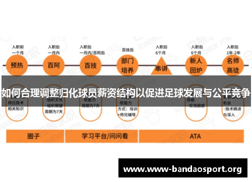 如何合理调整归化球员薪资结构以促进足球发展与公平竞争