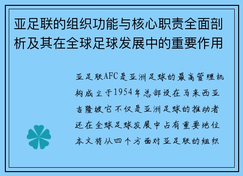亚足联的组织功能与核心职责全面剖析及其在全球足球发展中的重要作用