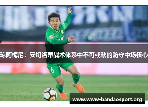 琼阿梅尼：安切洛蒂战术体系中不可或缺的防守中场核心