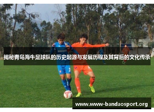 揭秘青岛海牛足球队的历史起源与发展历程及其背后的文化传承