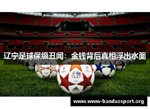 辽宁足球保级丑闻：金钱背后真相浮出水面