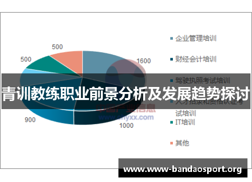 青训教练职业前景分析及发展趋势探讨